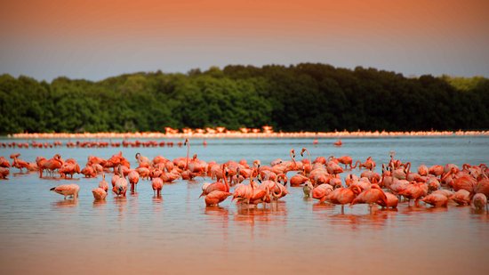 3 playas para visitar en Yucatán